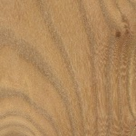 DZD Hardwood: bois franc orme rouge