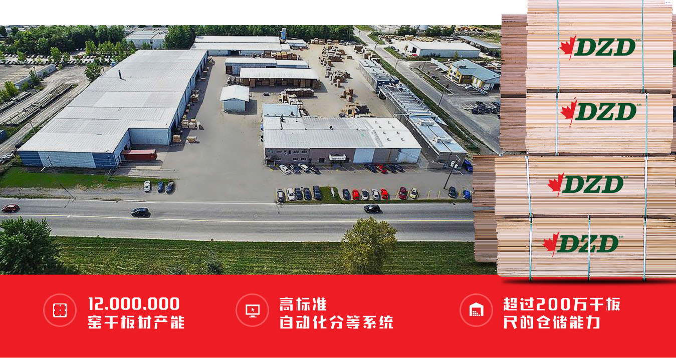 DZD-Hardwood-warehouse