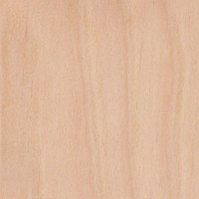DZD-Hardwood: yellow birch